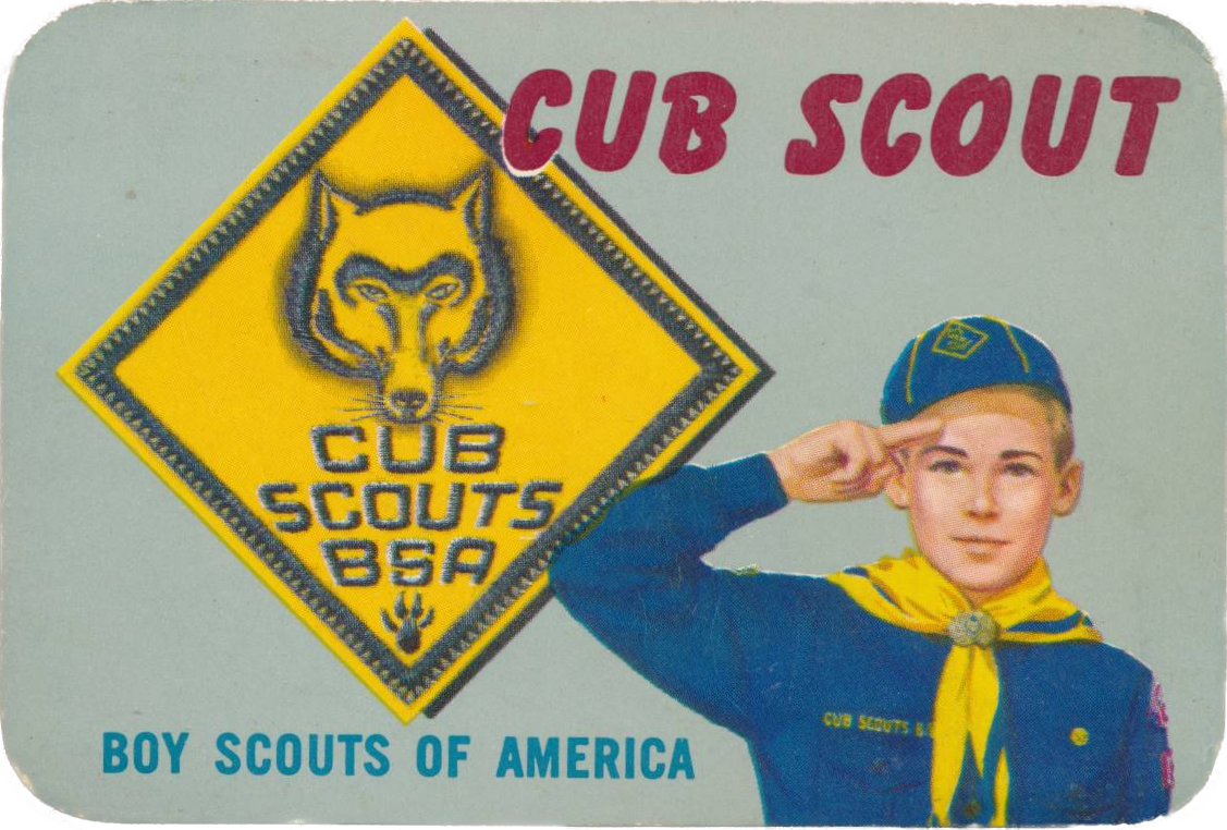 Cub Scouts