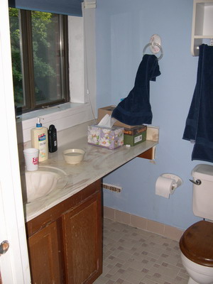Master Bath Before