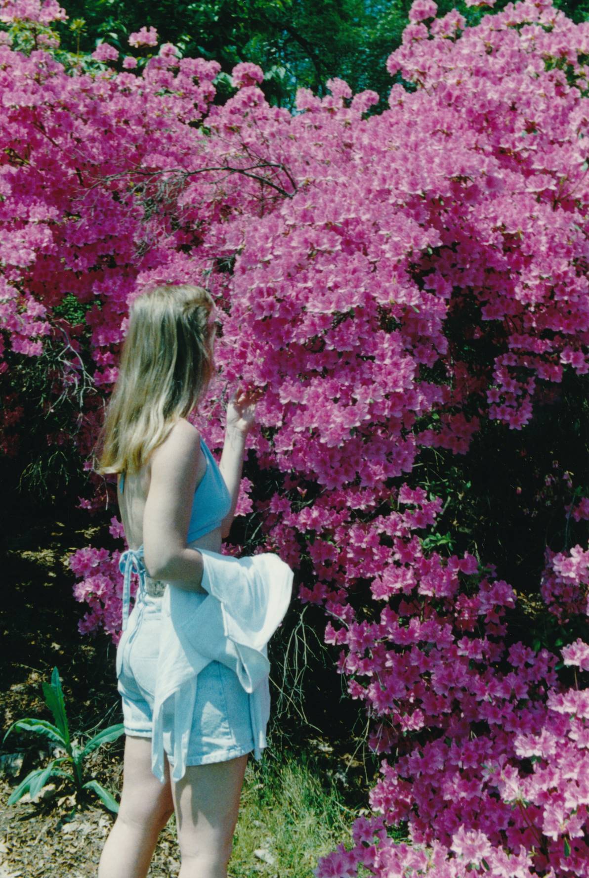 Julie looking at azaleas