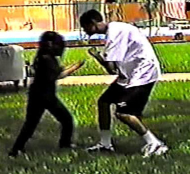 Boxing Chimp