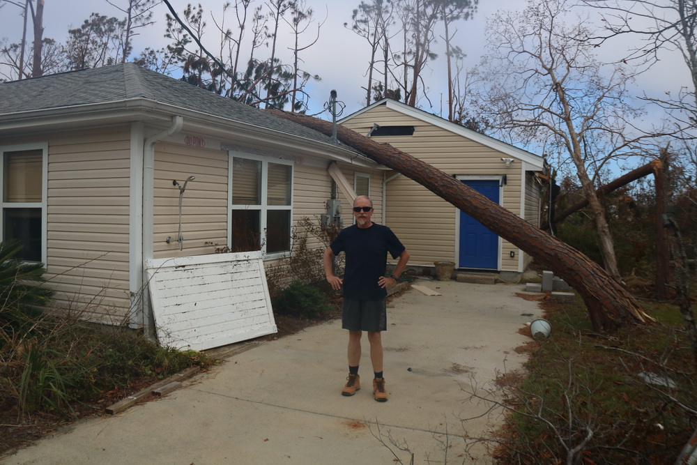 Tree on house