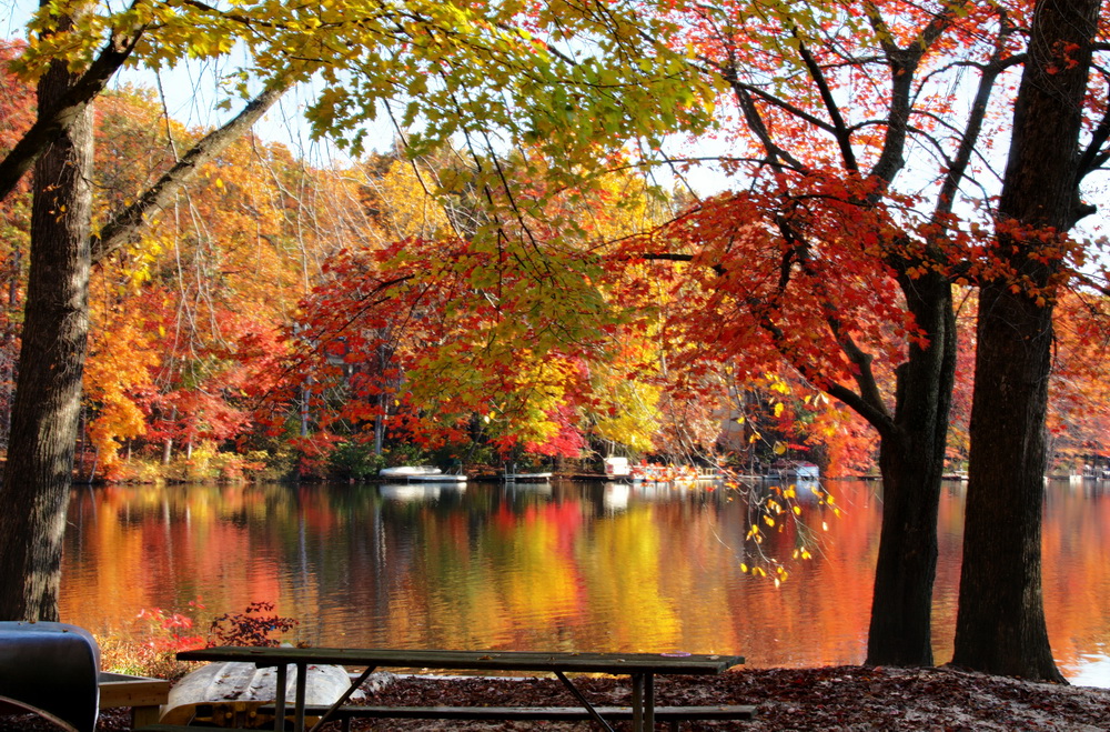 Fall