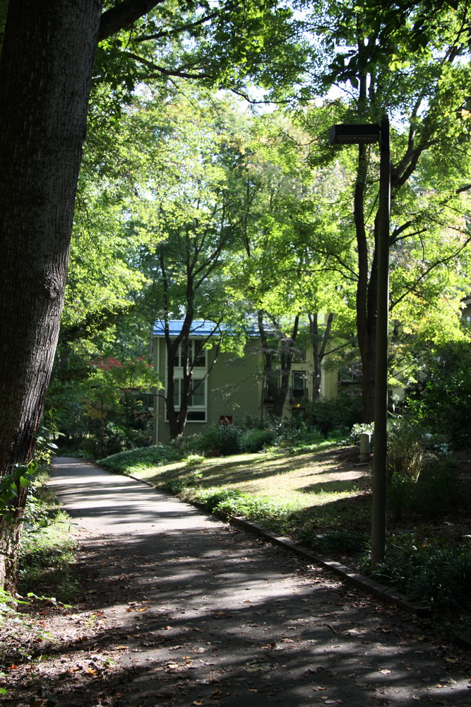 and proceed down the path on a summer day