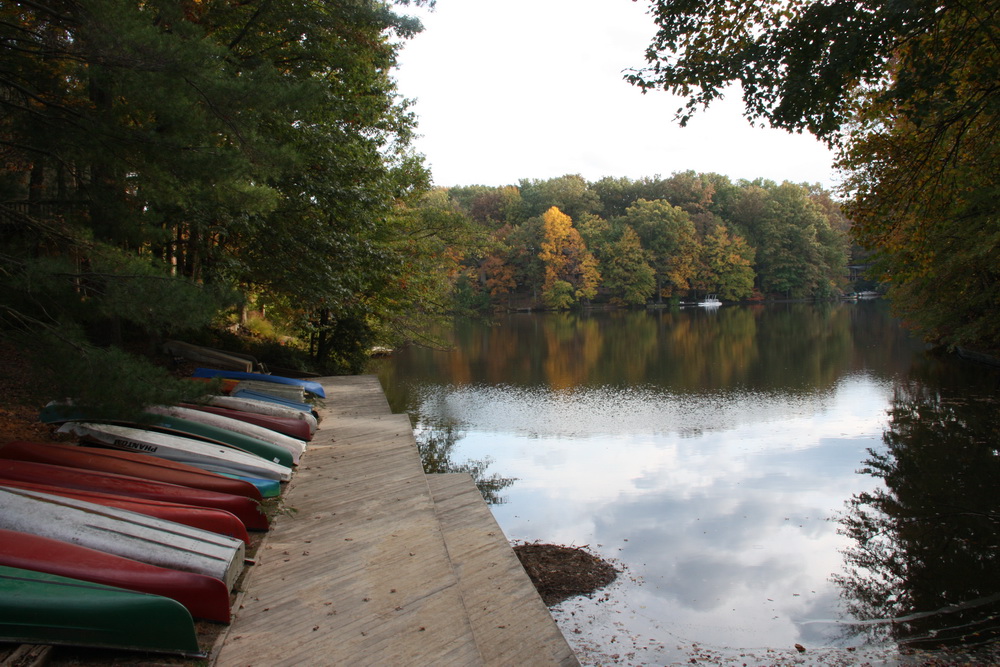 then come to a dock with canoes
