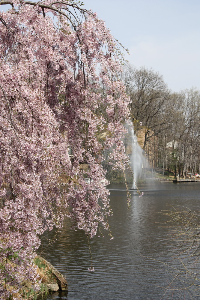 Lake Fountain