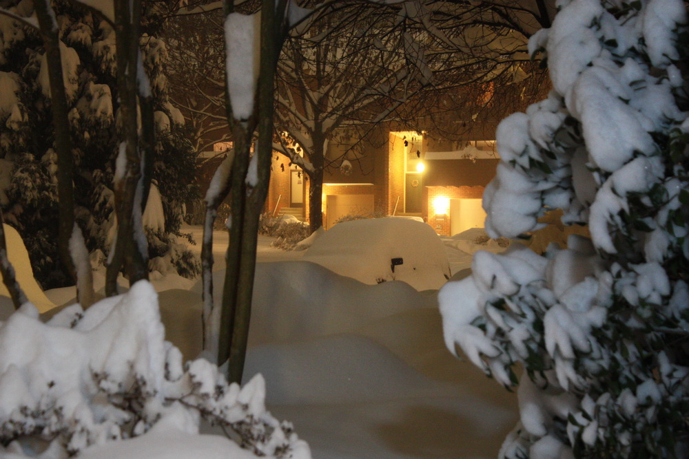 Snow at night