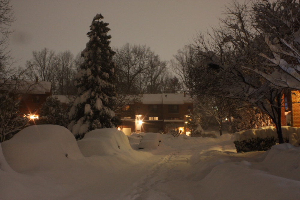  Winter Night Snow