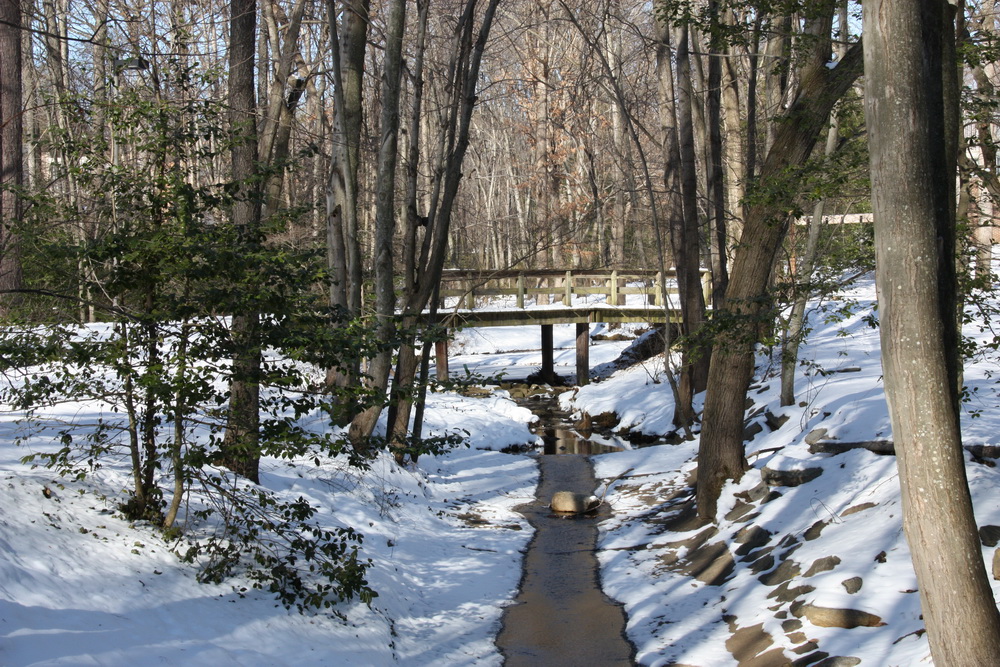 bridge over creek