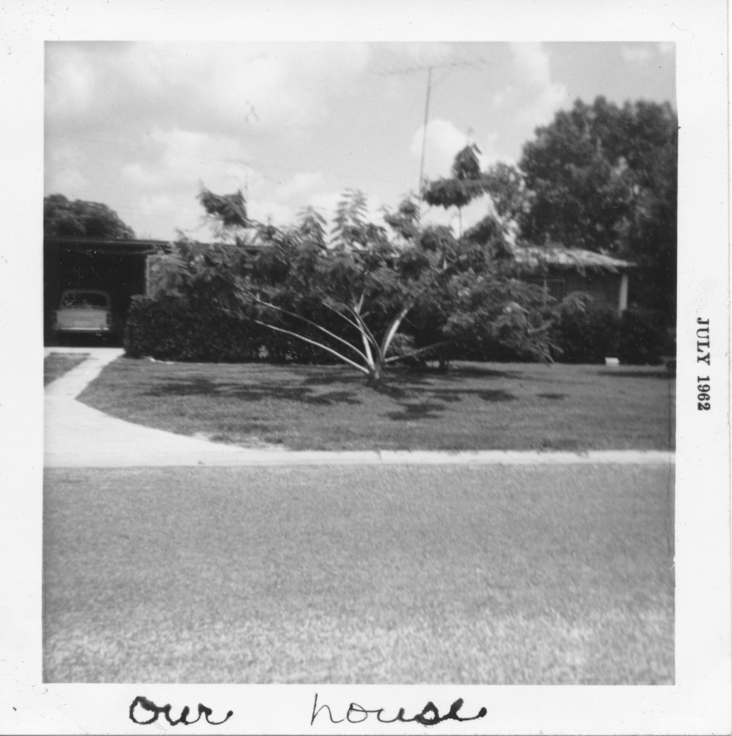 Our House