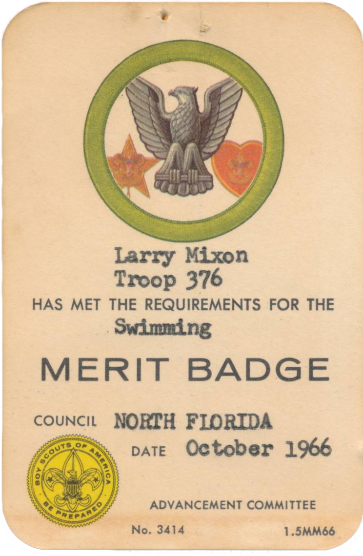 Swimming Merit Badge