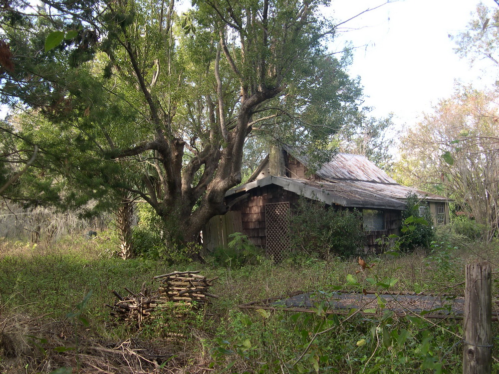The Old Mixson House in 2004