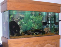 Aquarium