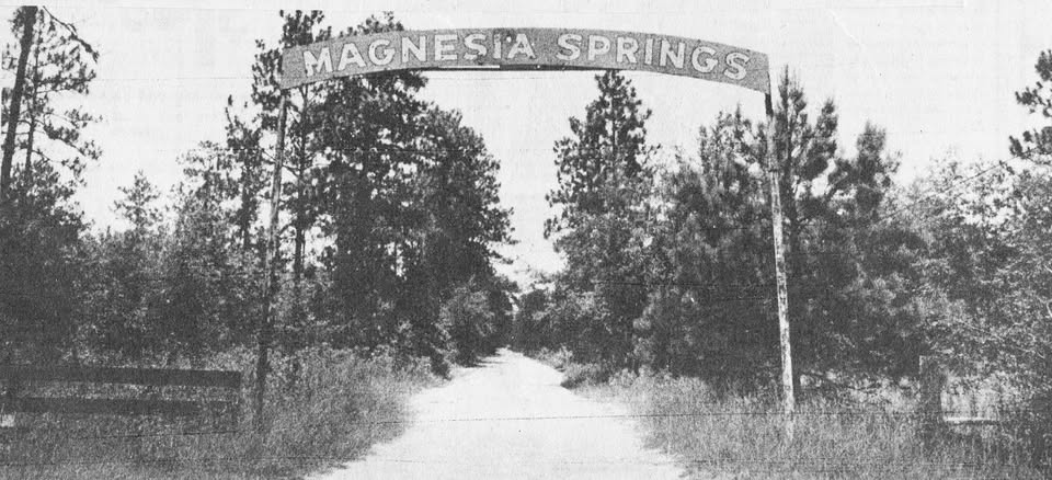 Magnesia Springs