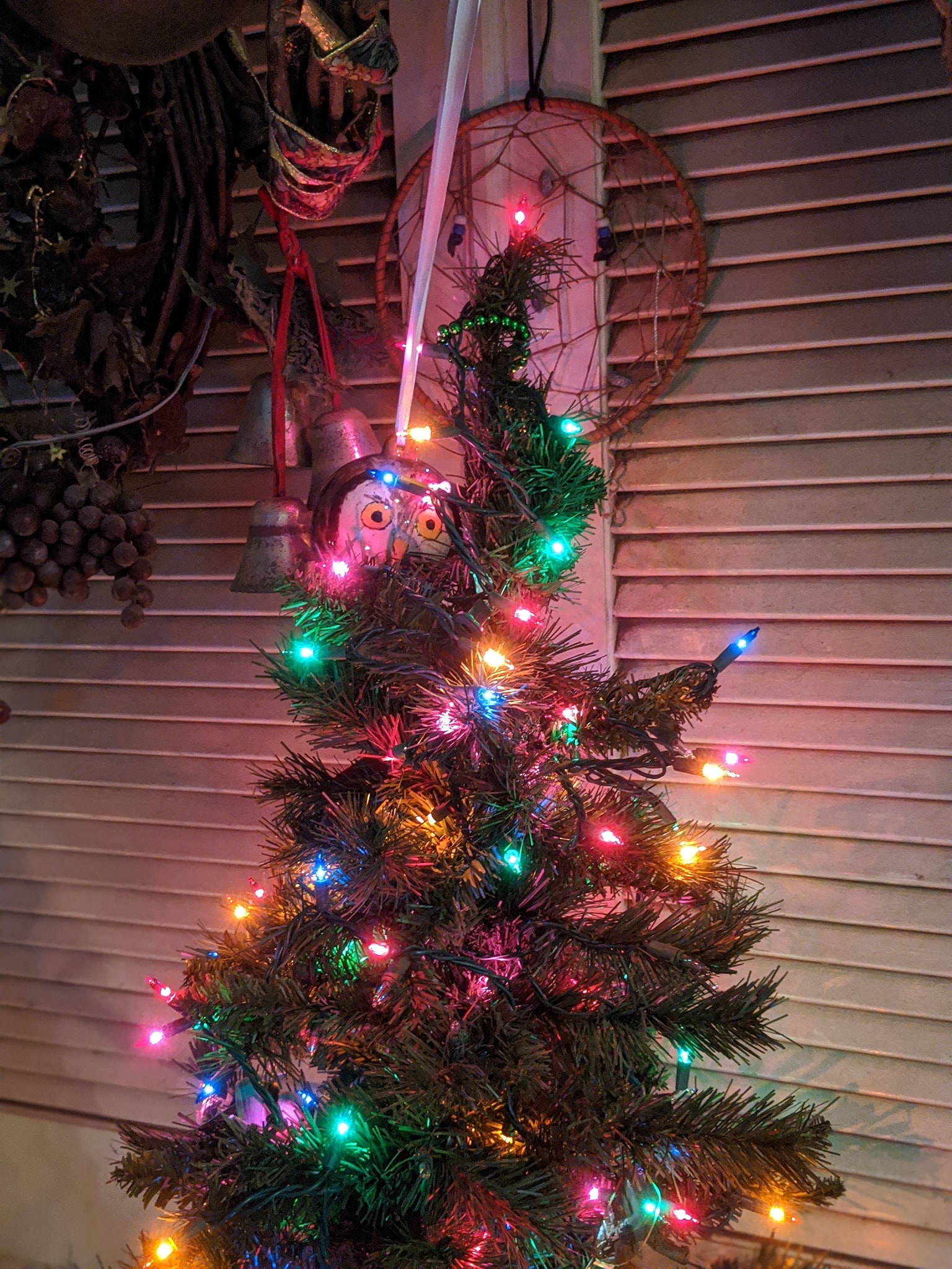 The Owl in the Christmas Tree