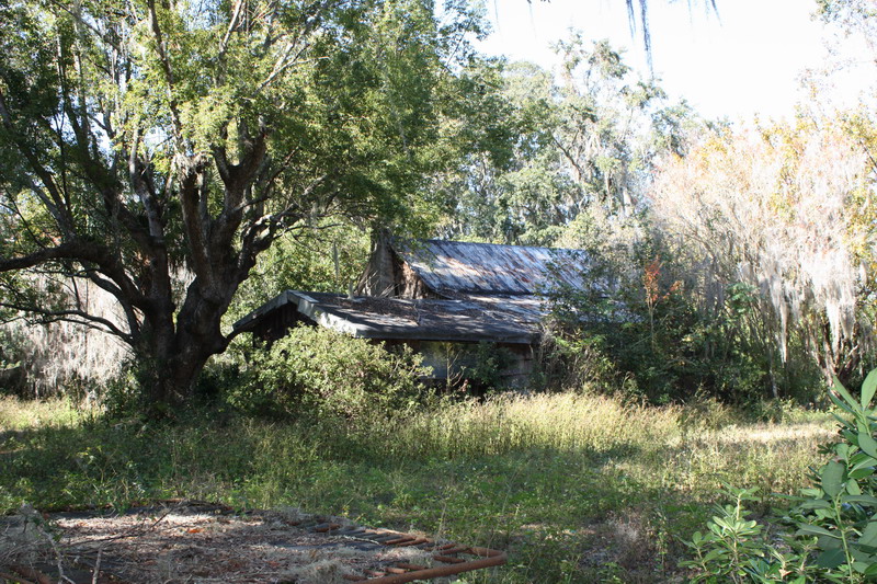 The Old Mixson House