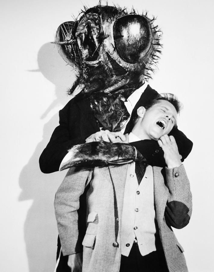 The Fly man