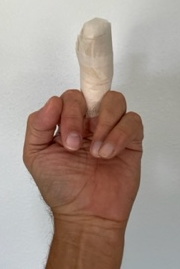Finger