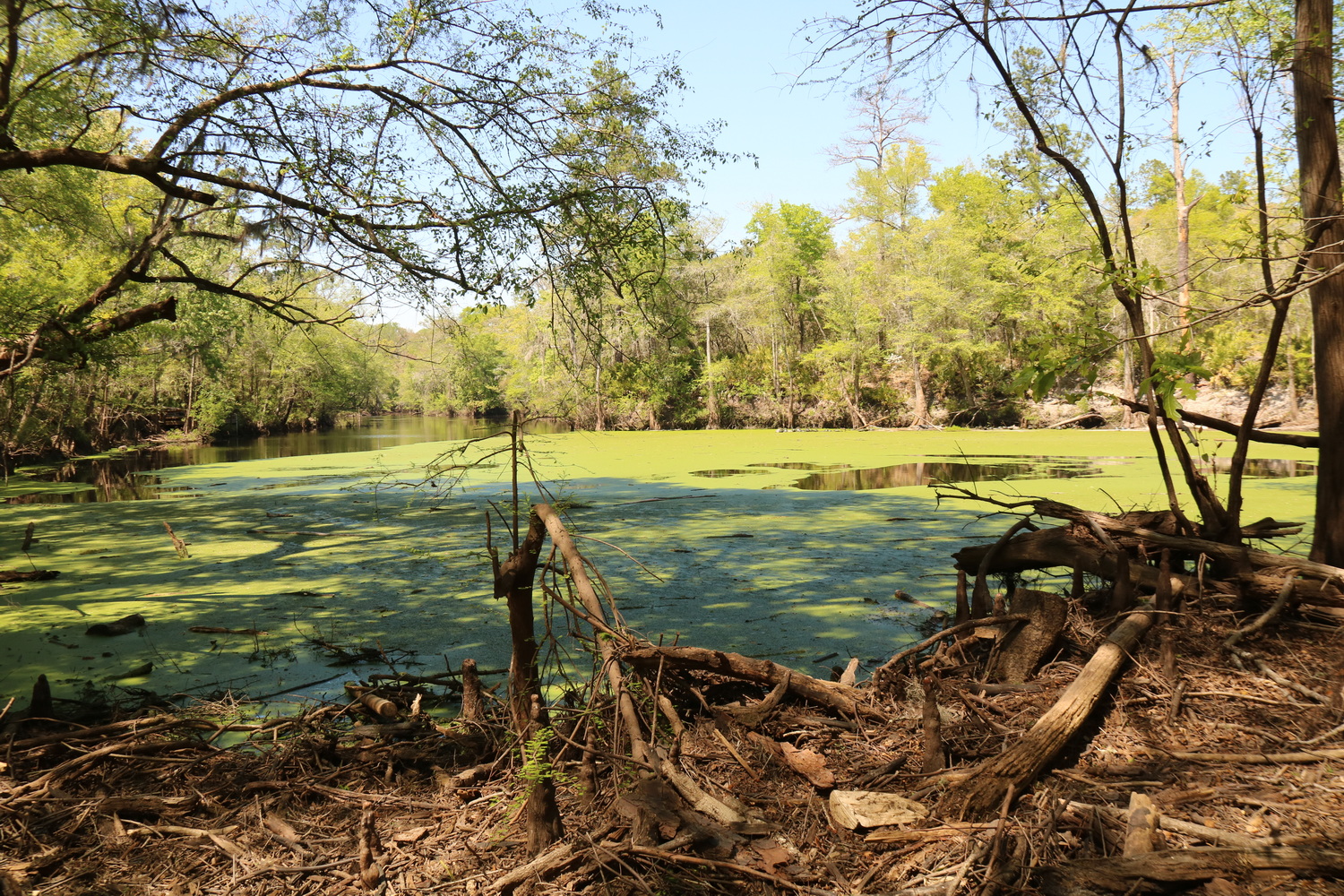 Santa Fe River goes Underrgound