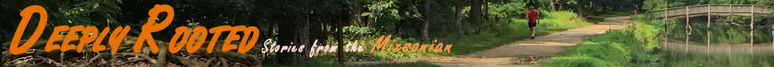 Mixsonian