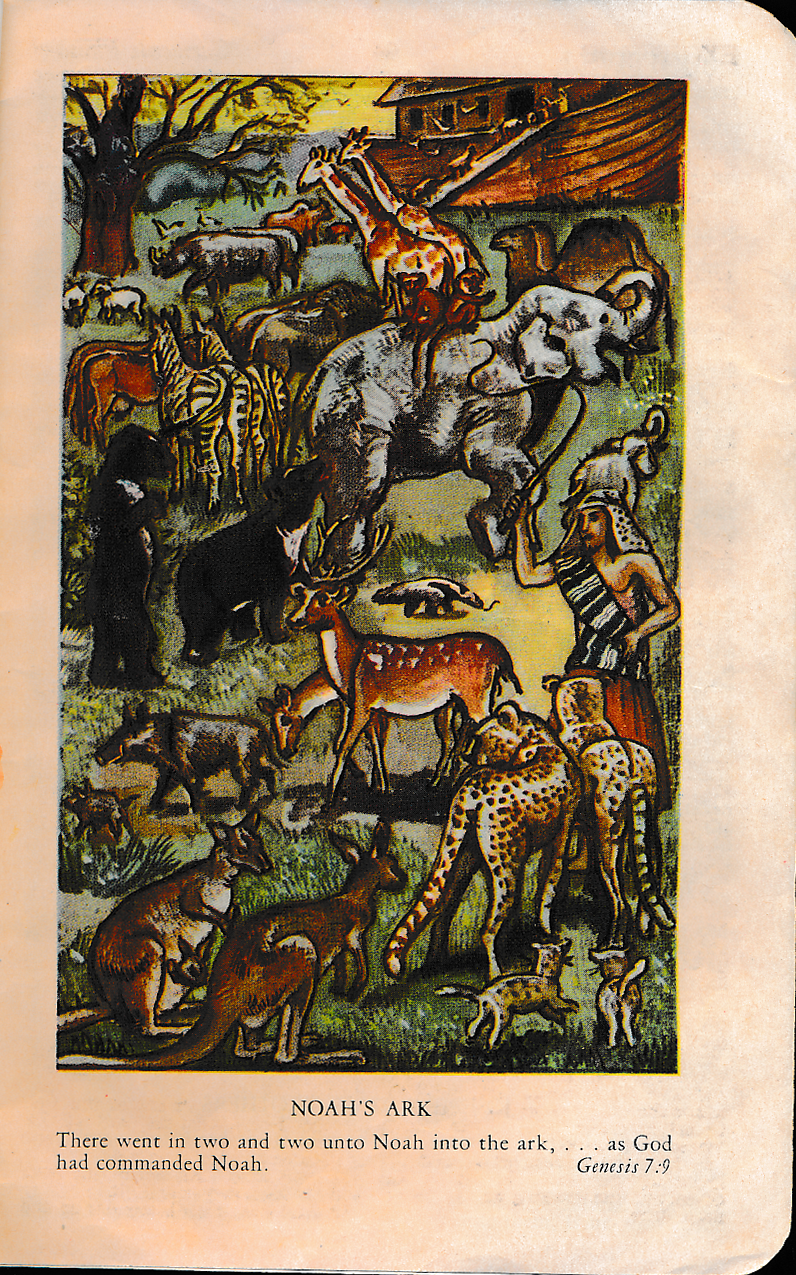 Noah's Ark picture