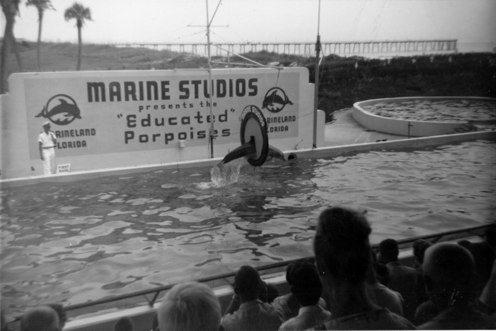 Marine Land