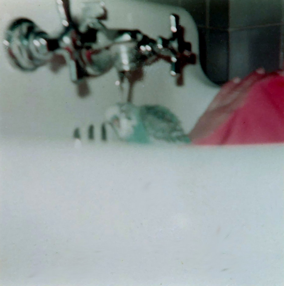 Pete taking a bath