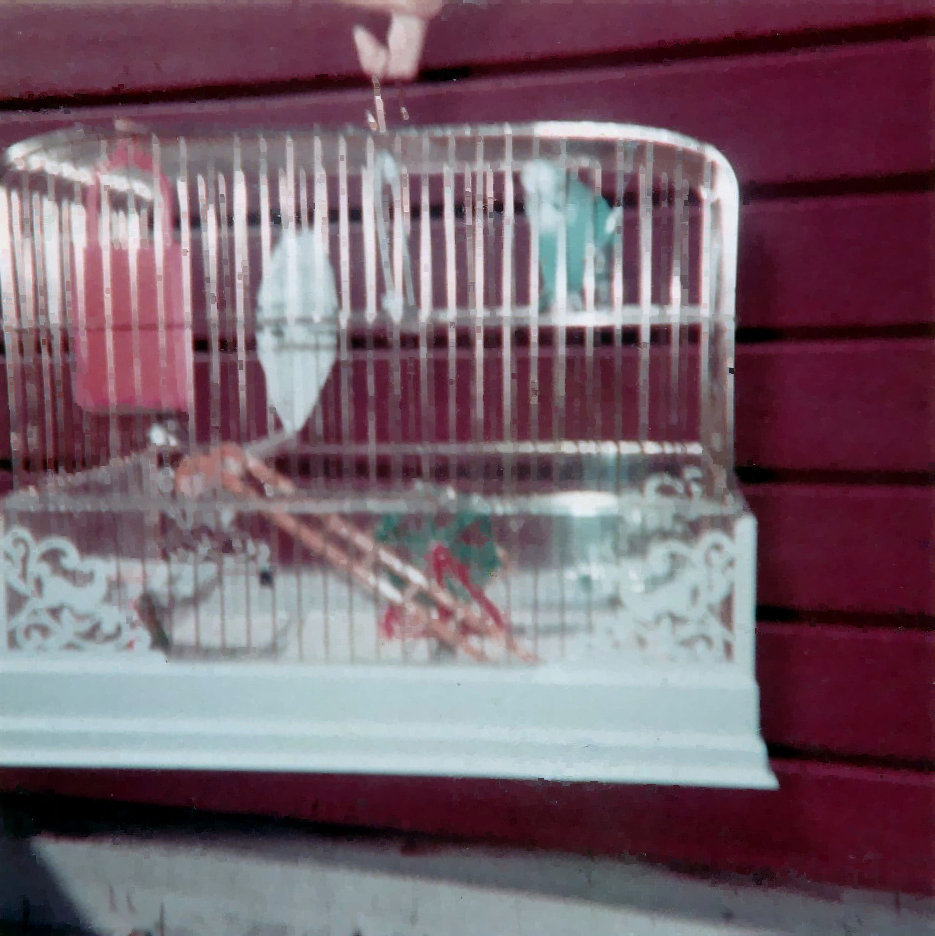 Pete's Cage