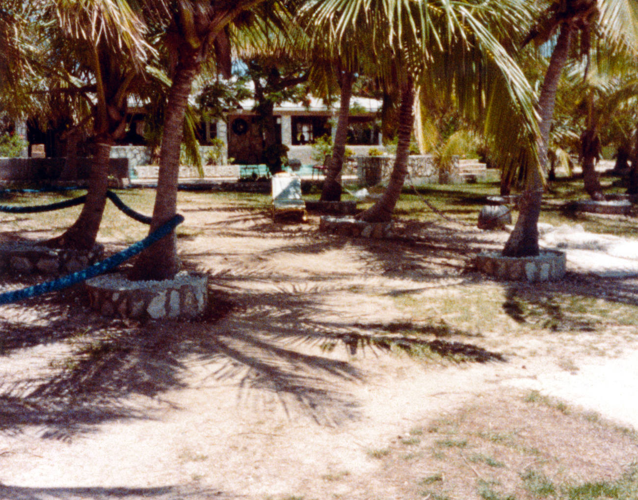 The Hotel