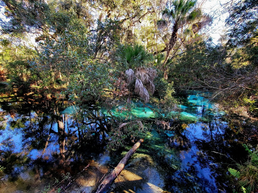 Sand Boils at Silver Glen Springs