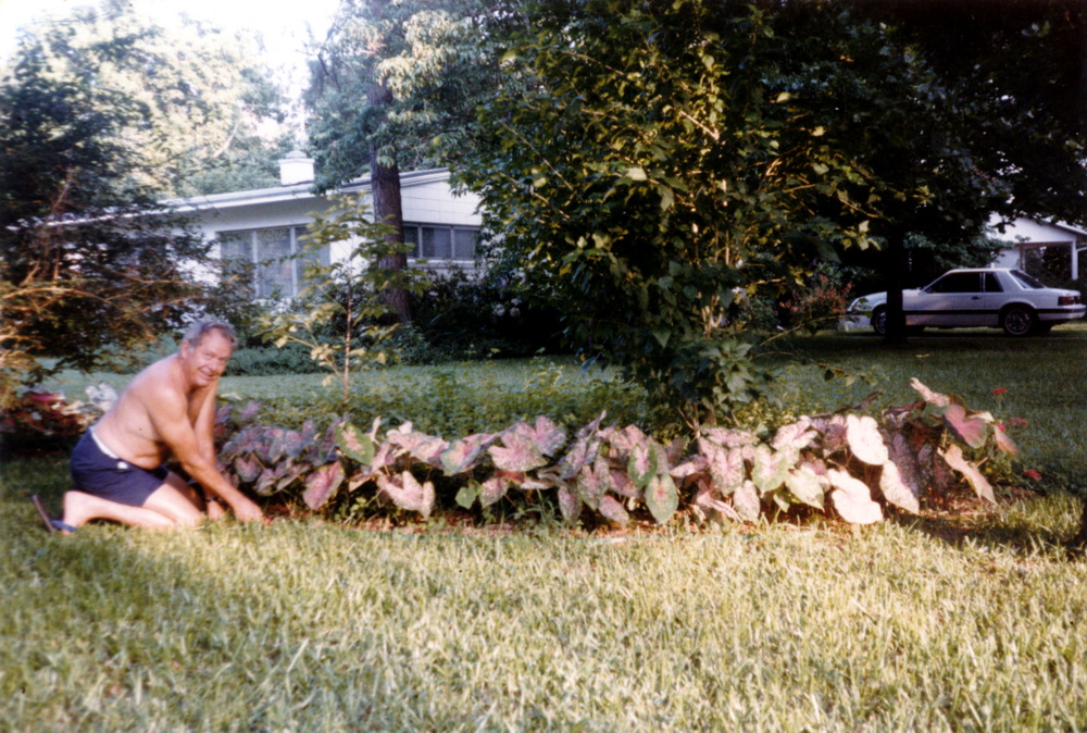 Morris gardening