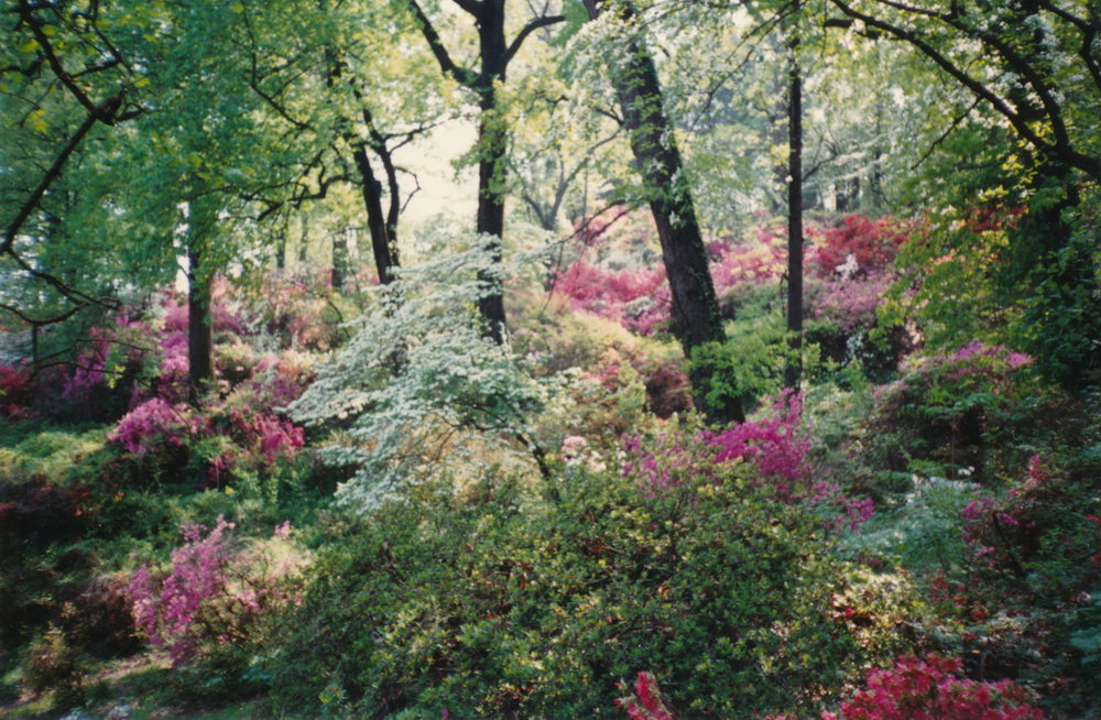 Spring