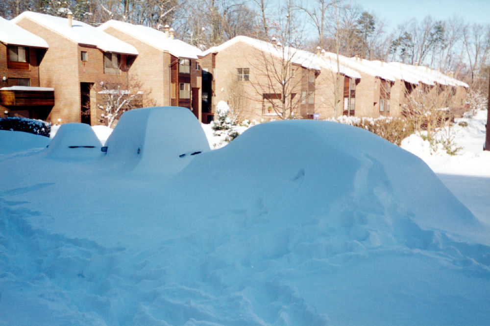The Blizzard