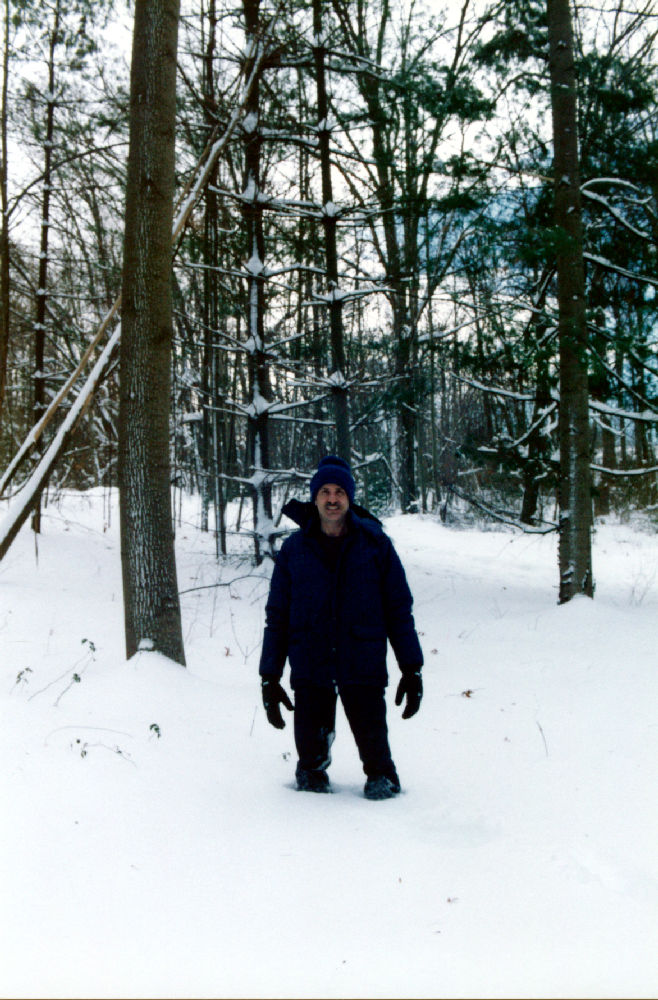 Mie in snow