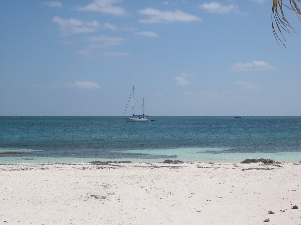A walk on the beach was nice