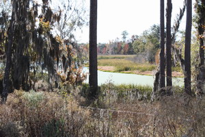 Plantation Lake 208