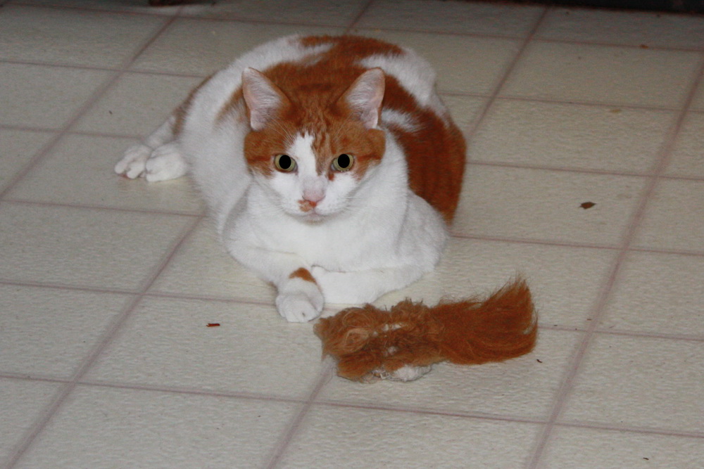 Bob with his favorite toy