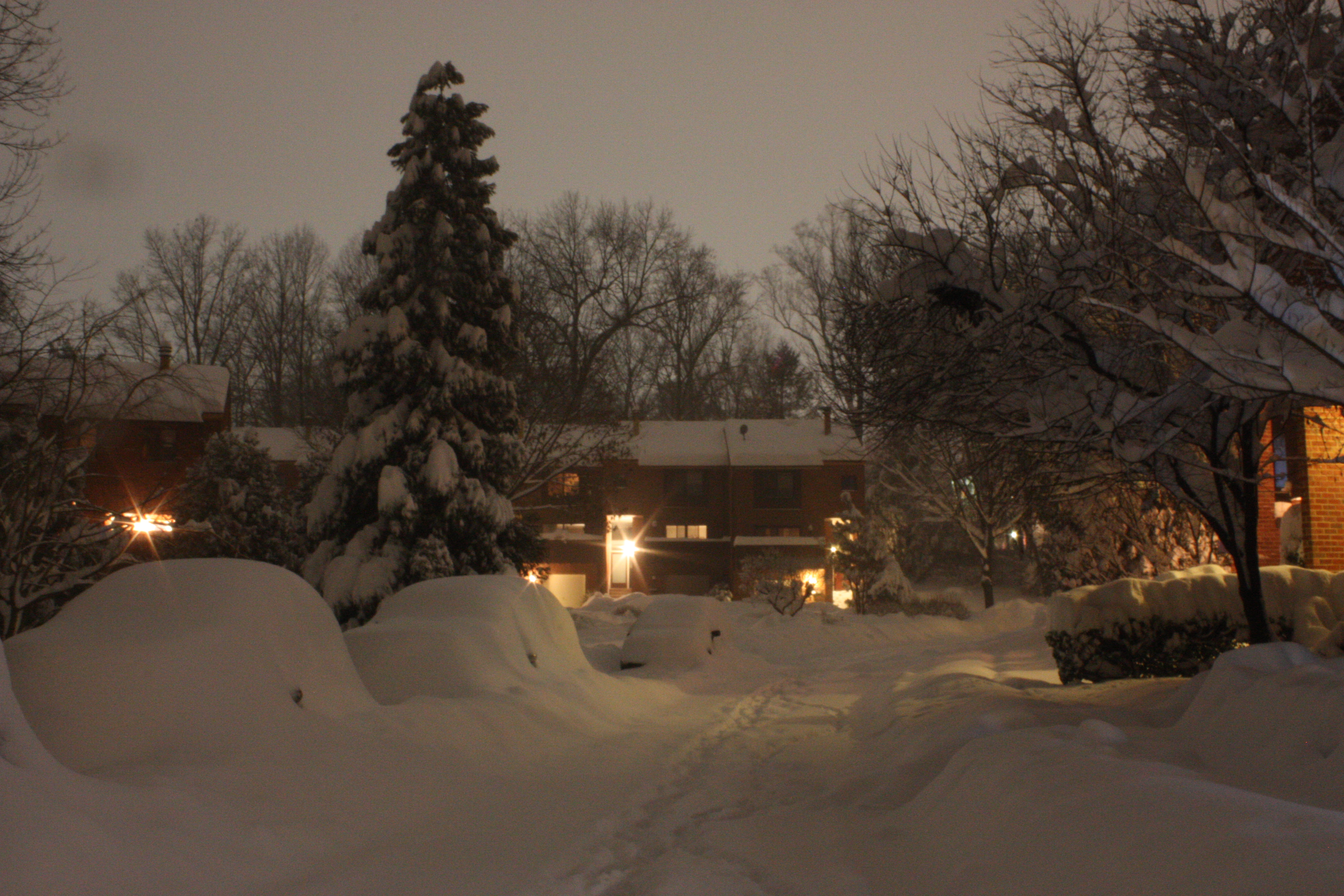 The year started with a big snow which I always loved for I got to work from home for a few days. As the snow falls everything becomes silent, a quietness falls...