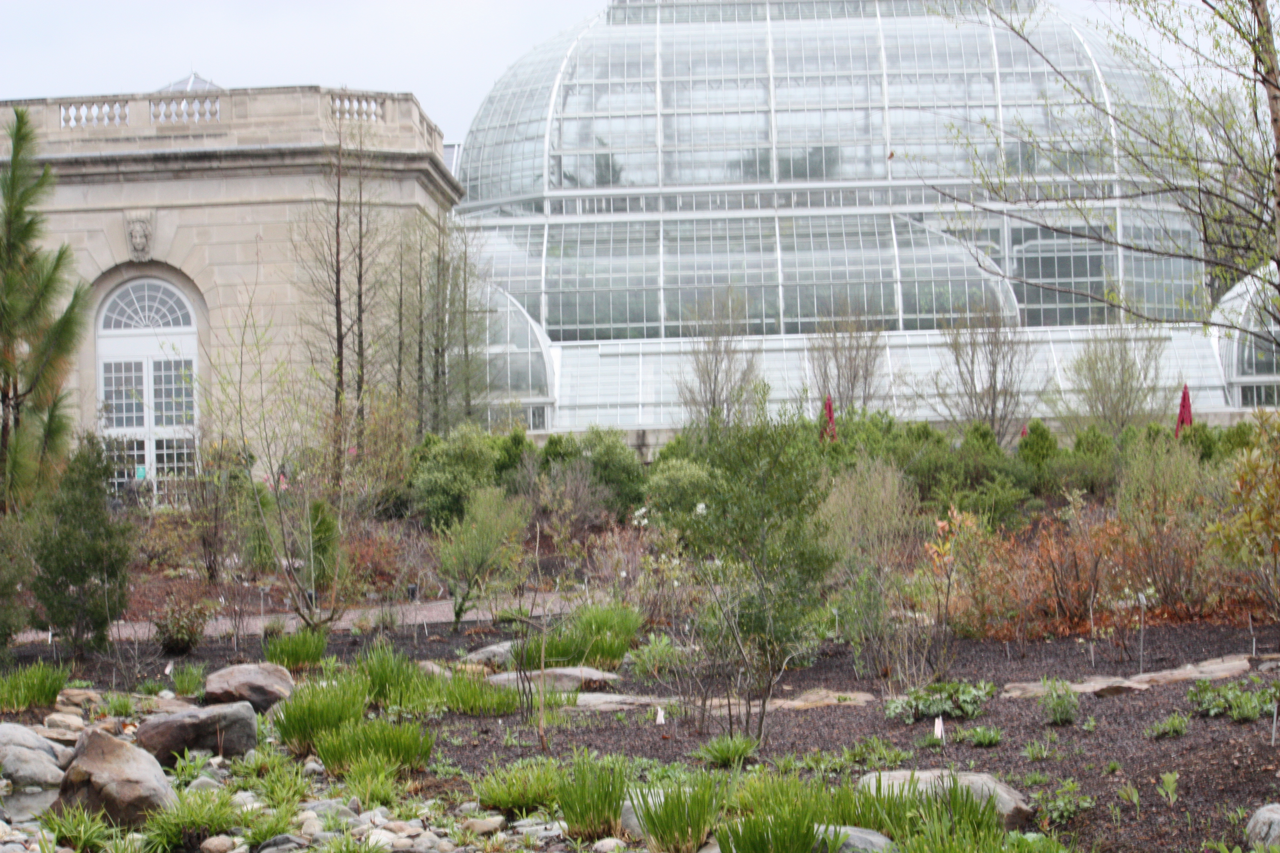 Going to the warm Botanic Garden on a cold winter day was always nice