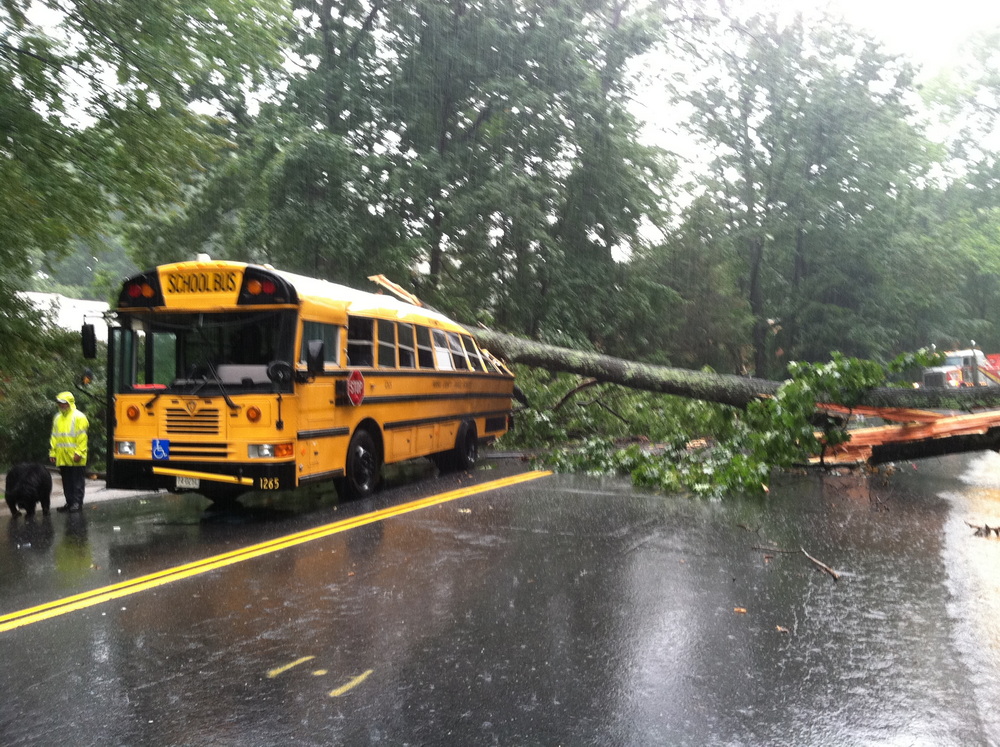 School bus