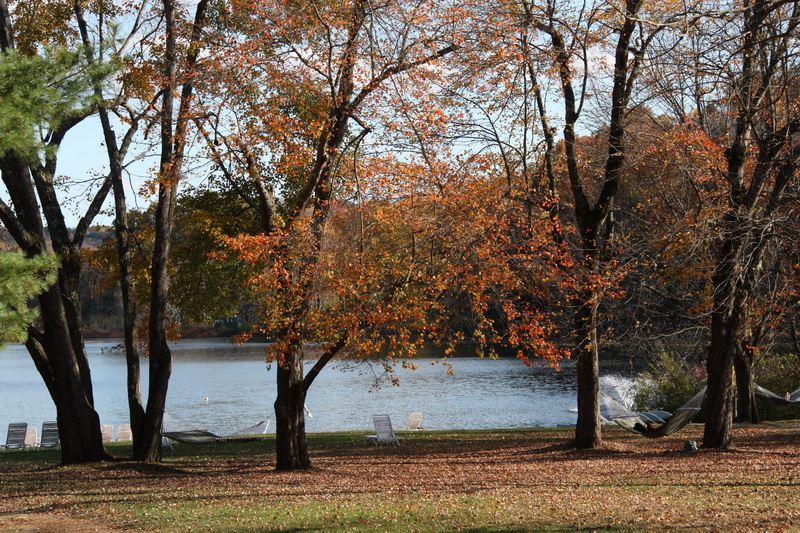 Fall at Omega