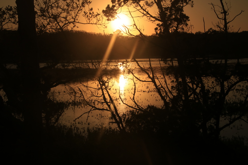 Golden light shimmers upon the water