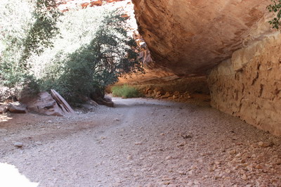 Tunnel