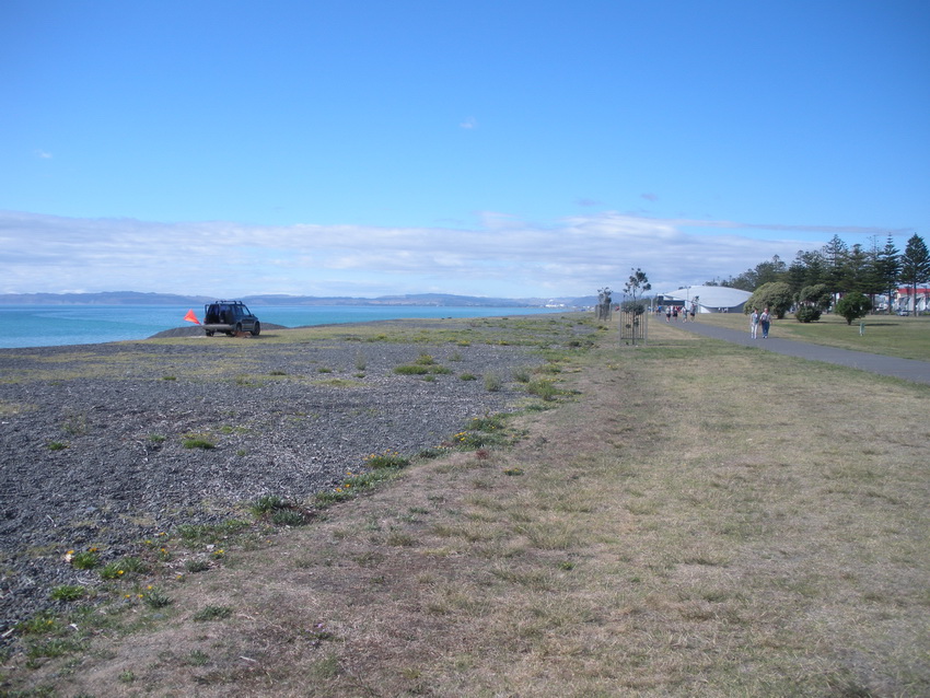 Napier